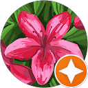 becky hubbard profile picture